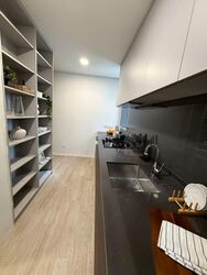 Amber Park (D15), Condominium #554110751